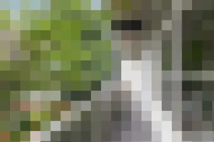 Deurloostraat 12 1 Amsterdam thumbnail 8