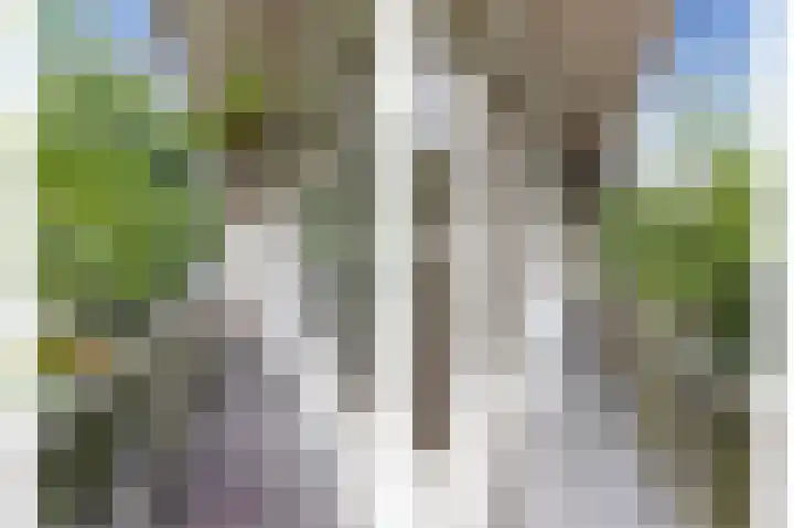 Deurloostraat 12 1 Amsterdam thumbnail 9