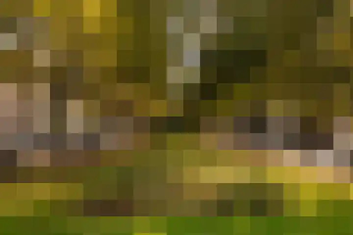 Deurloostraat 121 1 Amsterdam thumbnail 28