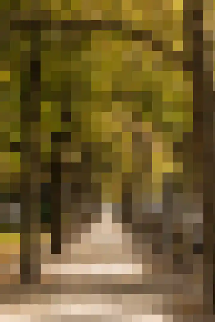 Deurloostraat 121 1 Amsterdam thumbnail 29