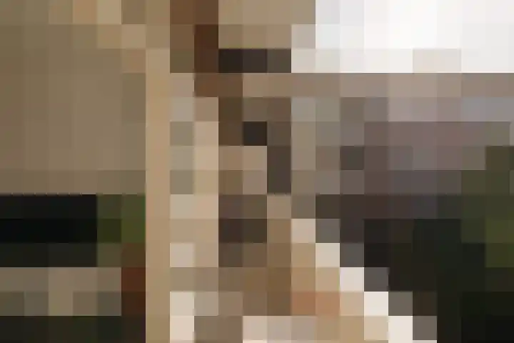 Deurloostraat 121 1 Amsterdam thumbnail 5