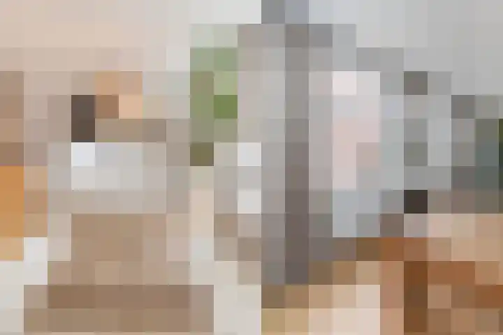 Deurloostraat 2 3 Amsterdam thumbnail 22