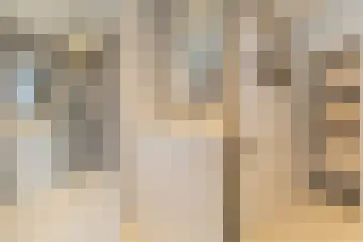 Deurloostraat 2 3 Amsterdam thumbnail 4