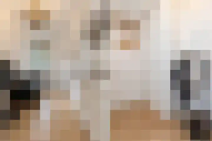 Deurloostraat 2 3 Amsterdam thumbnail 9