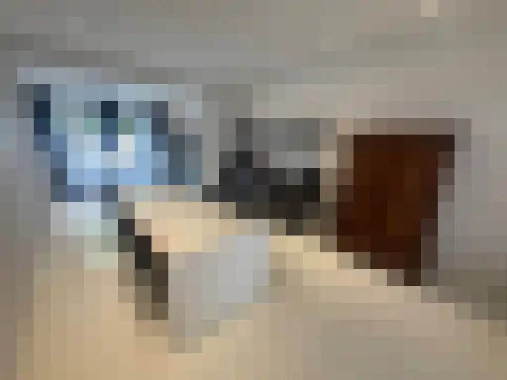 Deurloostraat 26 Amsterdam thumbnail 4