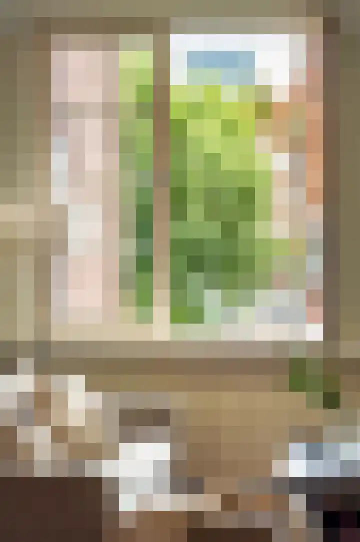 Deurloostraat 32 1 Amsterdam thumbnail 15