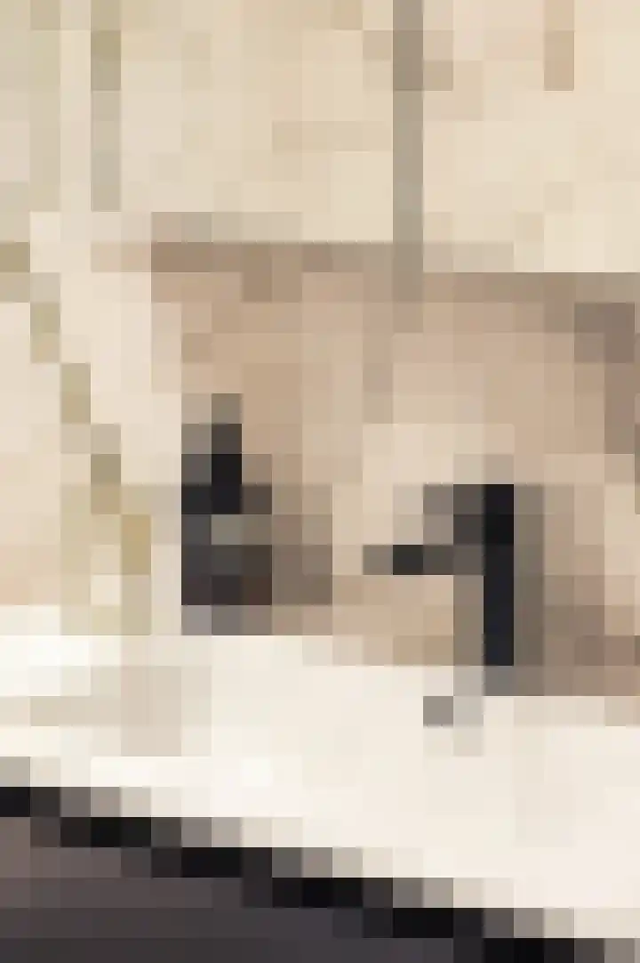 Deurloostraat 32 1 Amsterdam thumbnail 26
