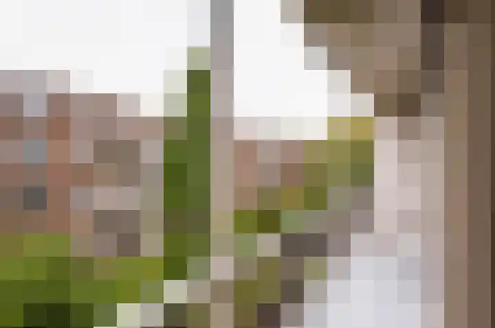 Deurloostraat 32 1 Amsterdam thumbnail 30