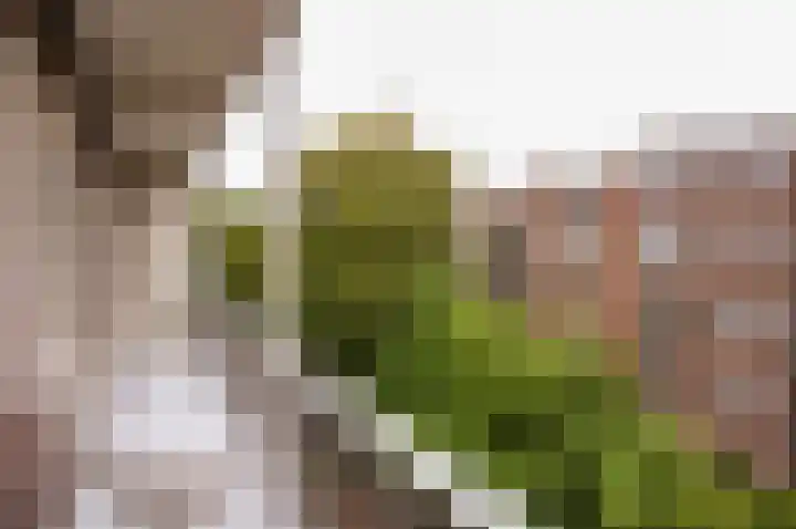 Deurloostraat 32 1 Amsterdam thumbnail 31