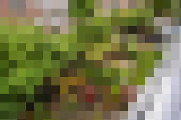 Deurloostraat 32 1 Amsterdam thumbnail 32