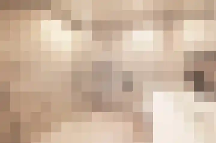 Deurloostraat 32 4 Amsterdam thumbnail 34