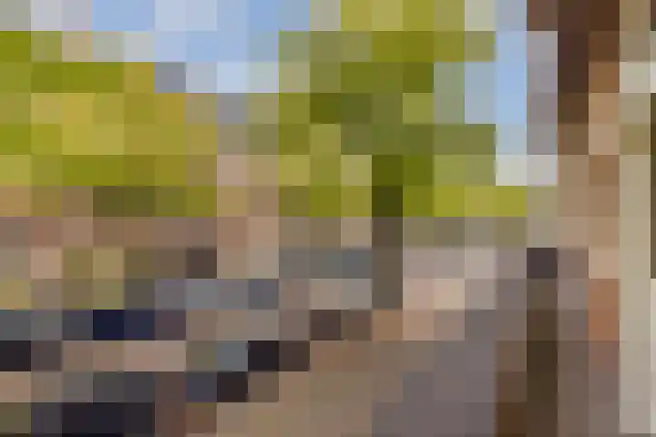 Deurloostraat 33 1 Amsterdam thumbnail 10