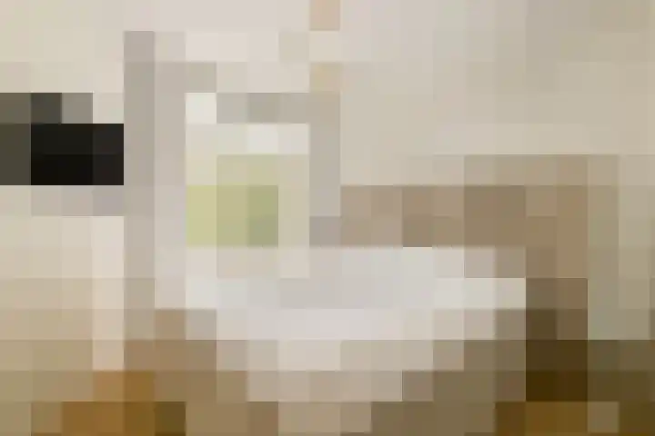 Deurloostraat 33 1 Amsterdam thumbnail 12