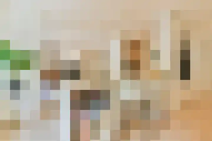 Deurloostraat 33 1 Amsterdam thumbnail 5