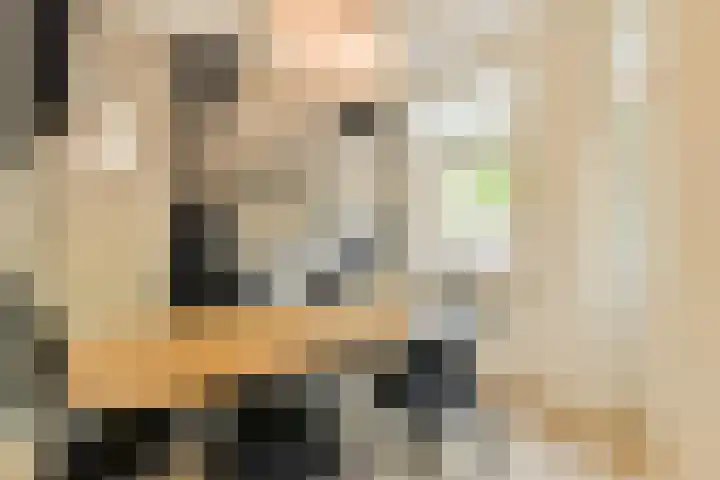 Deurloostraat 33 1 Amsterdam thumbnail 7