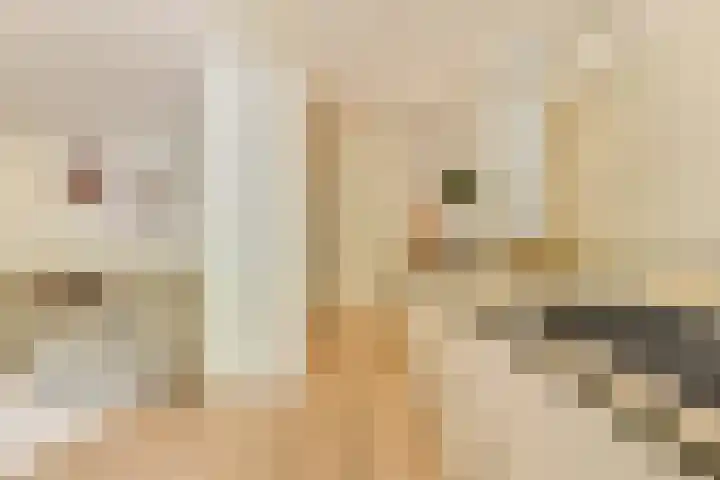 Deurloostraat 33 1 Amsterdam thumbnail 8