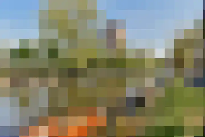 Deurloostraat 39 1 Amsterdam thumbnail 36