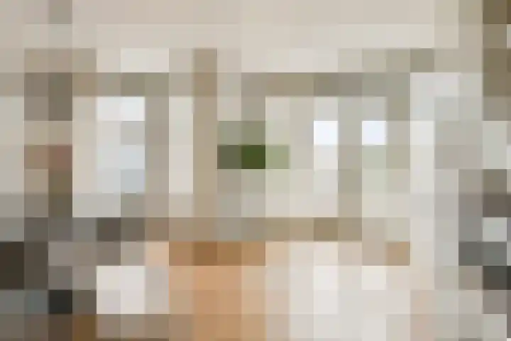 Deurloostraat 39 1 Amsterdam thumbnail 7