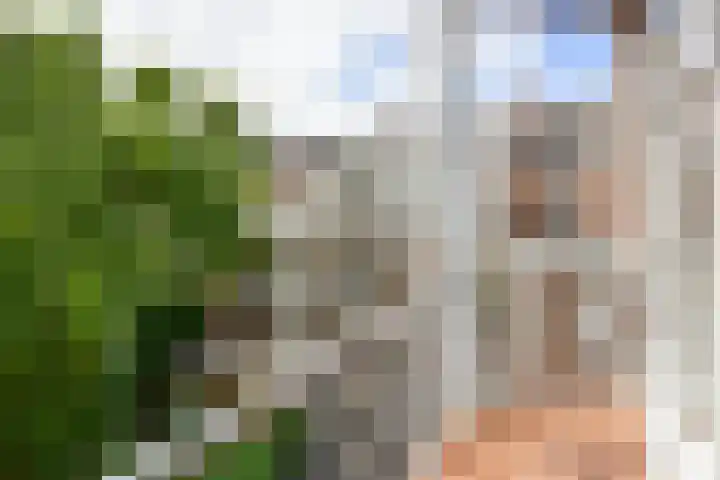 Deurloostraat 49 1 Amsterdam thumbnail 12