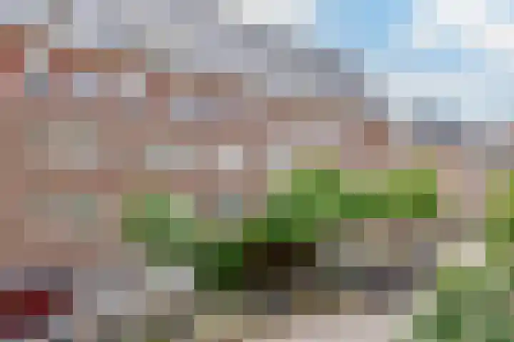 Deurloostraat 49 1 Amsterdam thumbnail 19