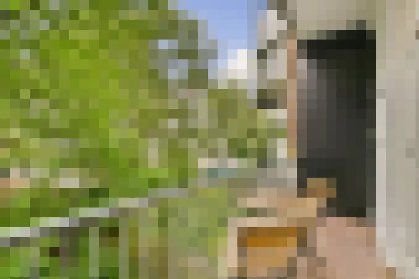 Deurloostraat 50 1 Amsterdam thumbnail 13