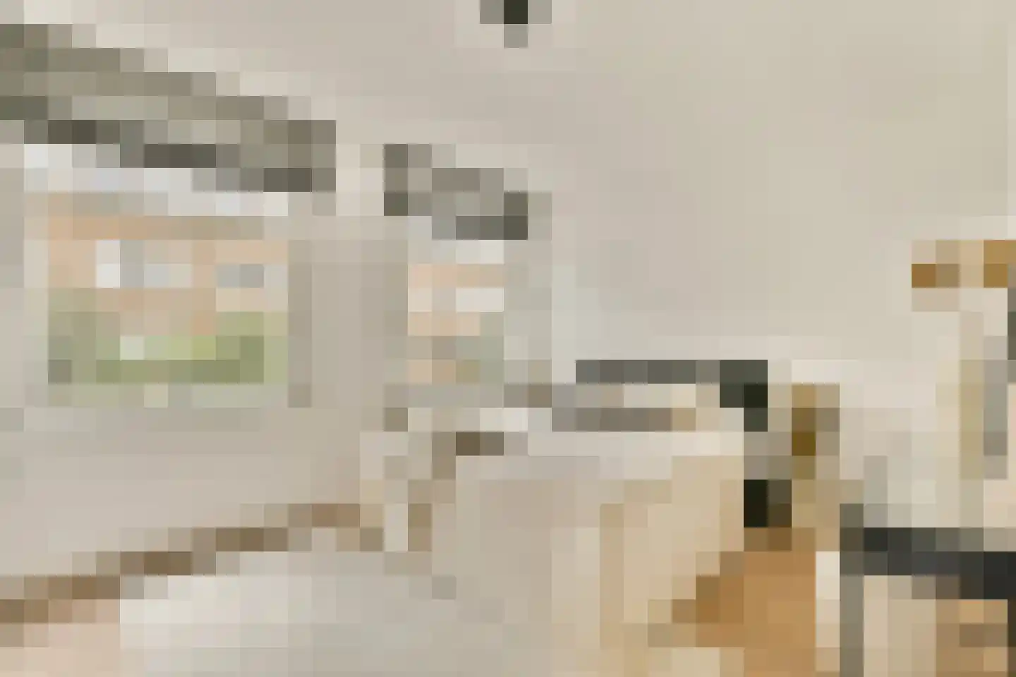 Deurloostraat 50 1 Amsterdam thumbnail 14