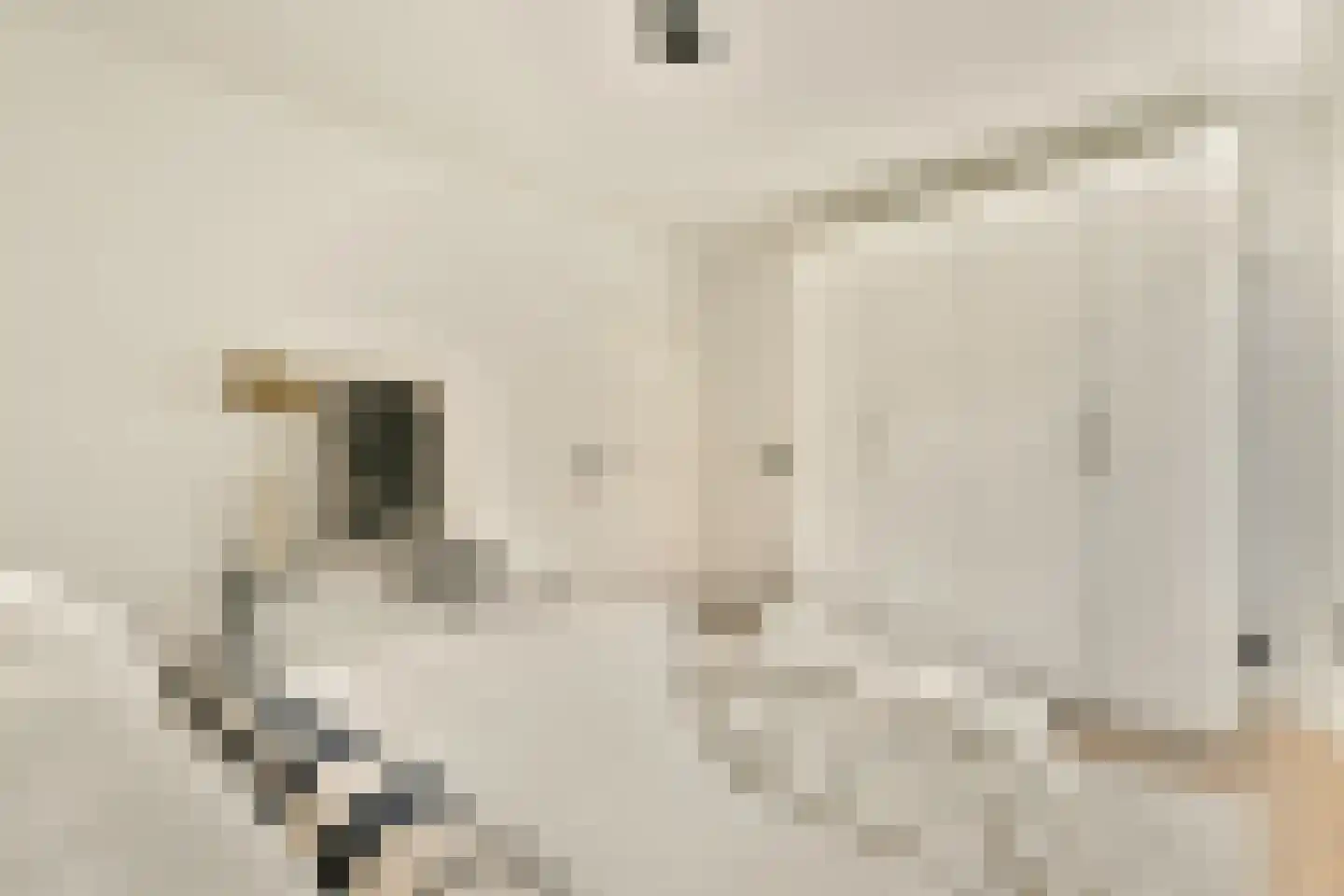 Deurloostraat 50 1 Amsterdam thumbnail 15
