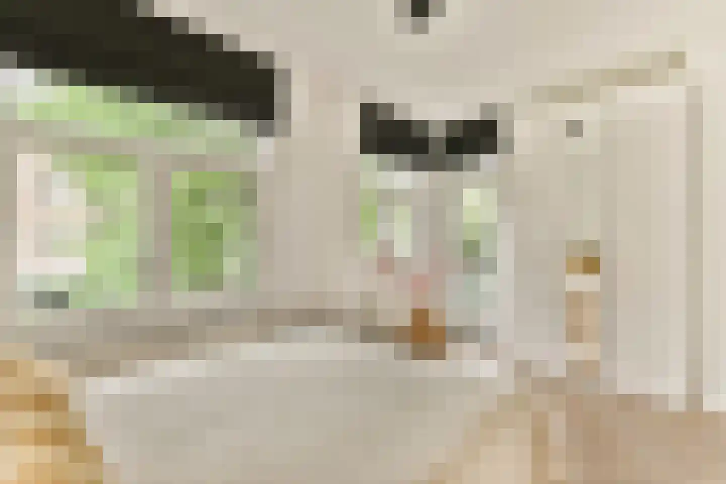 Deurloostraat 50 1 Amsterdam thumbnail 16