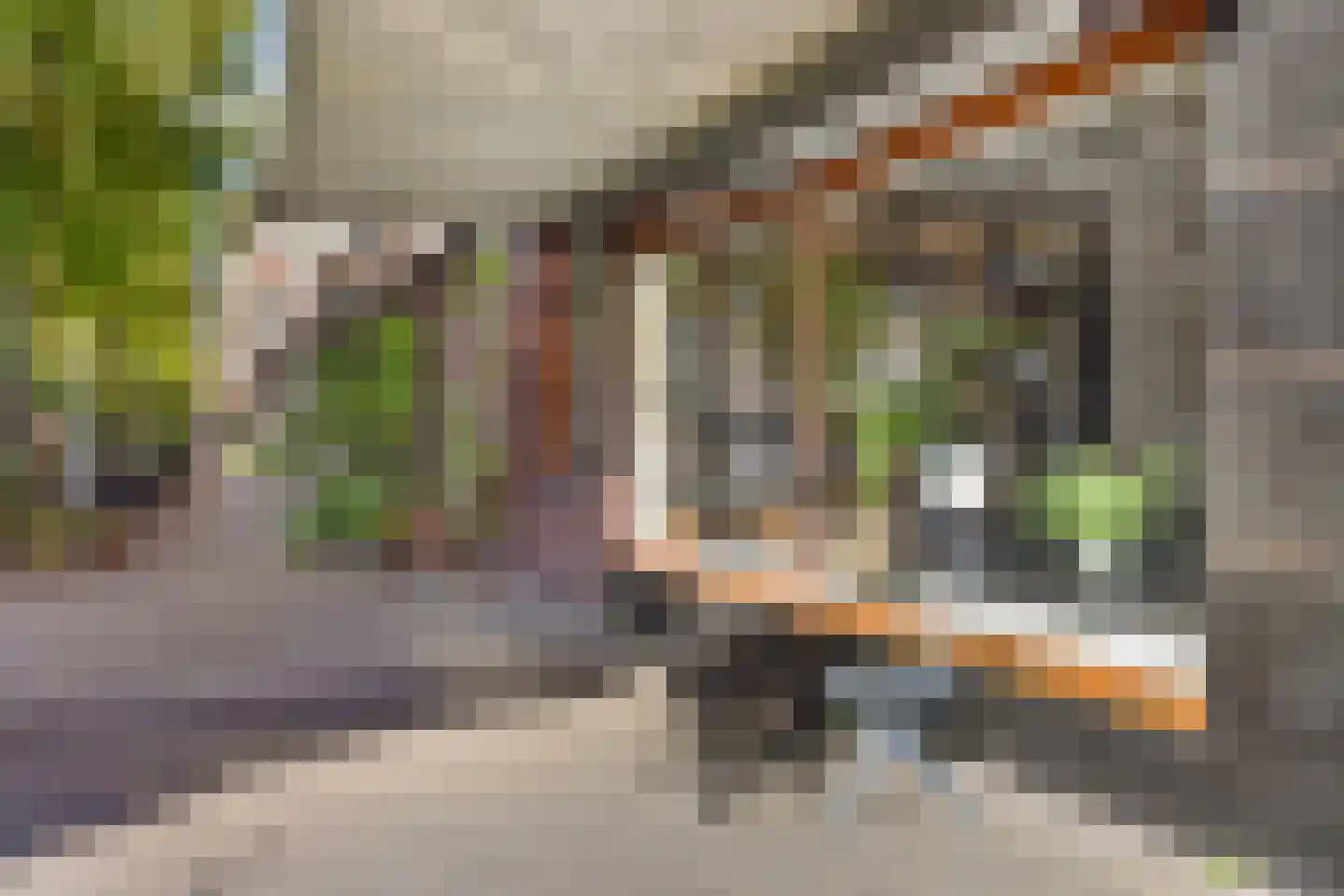 Deurloostraat 50 1 Amsterdam thumbnail 26