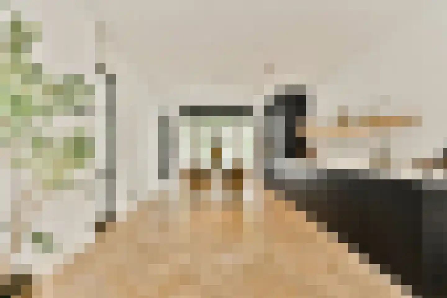 Deurloostraat 50 1 Amsterdam thumbnail 4