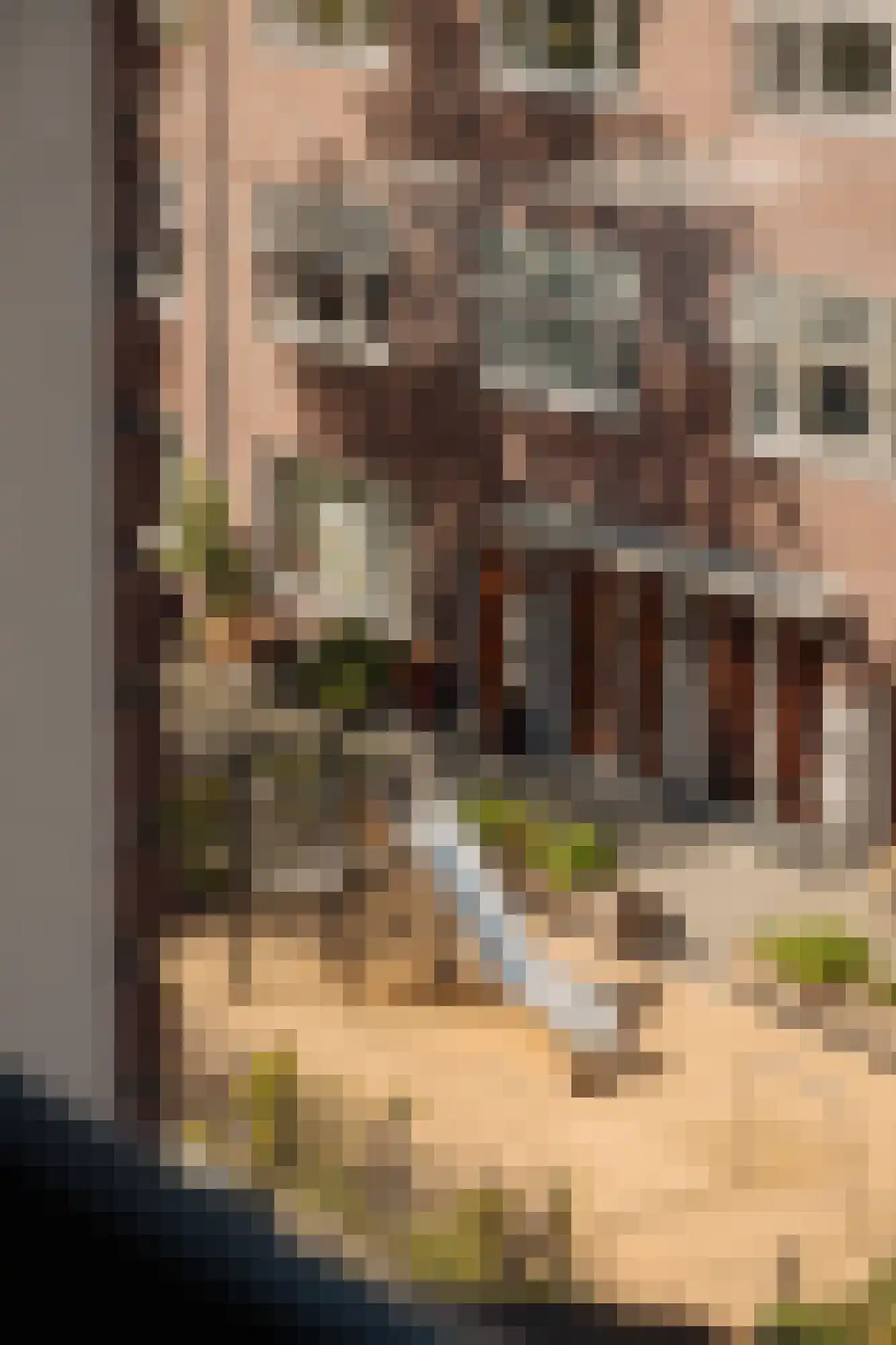 Deurloostraat 51 2 Amsterdam thumbnail 14