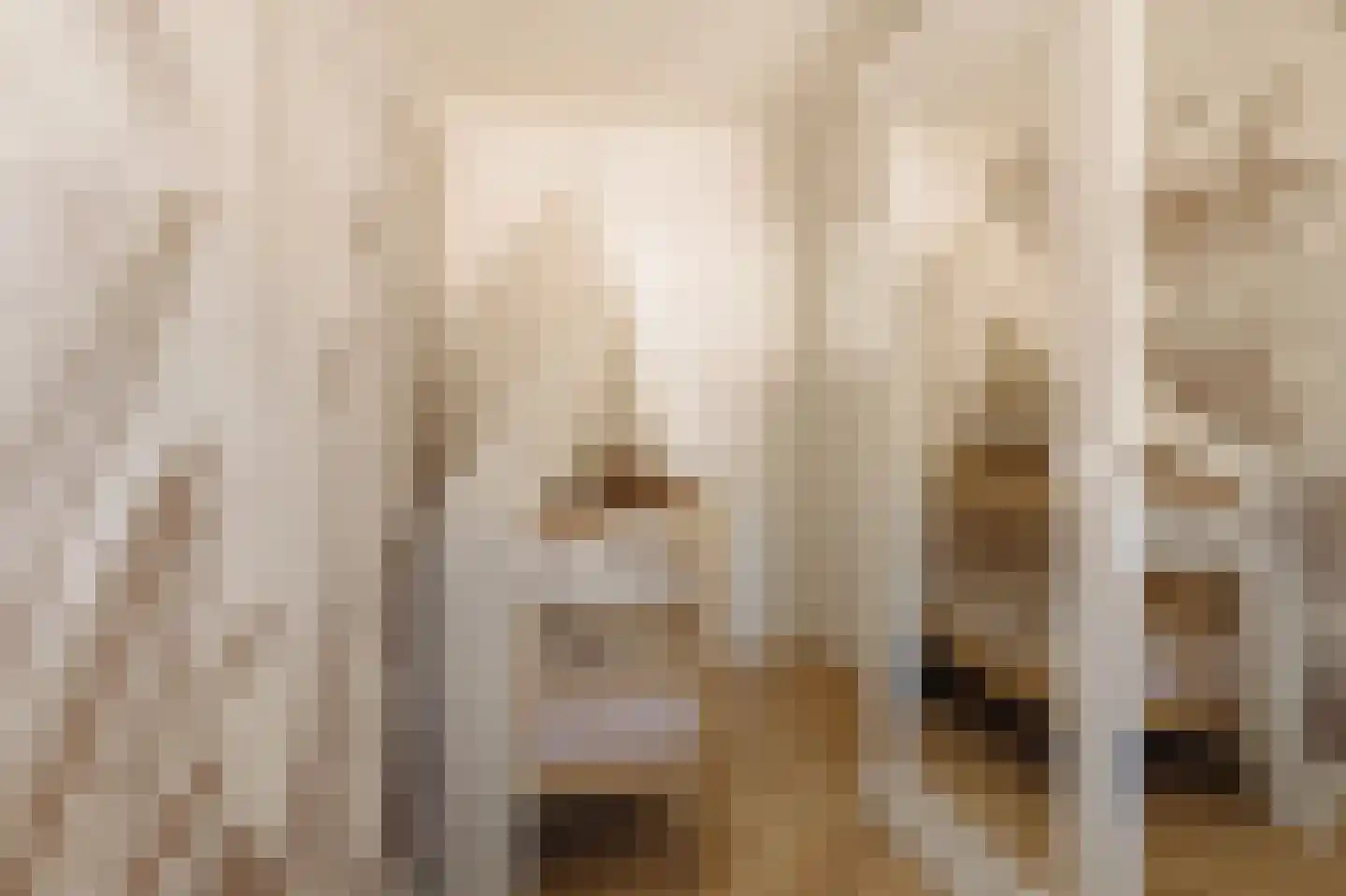 Deurloostraat 51 2 Amsterdam thumbnail 20