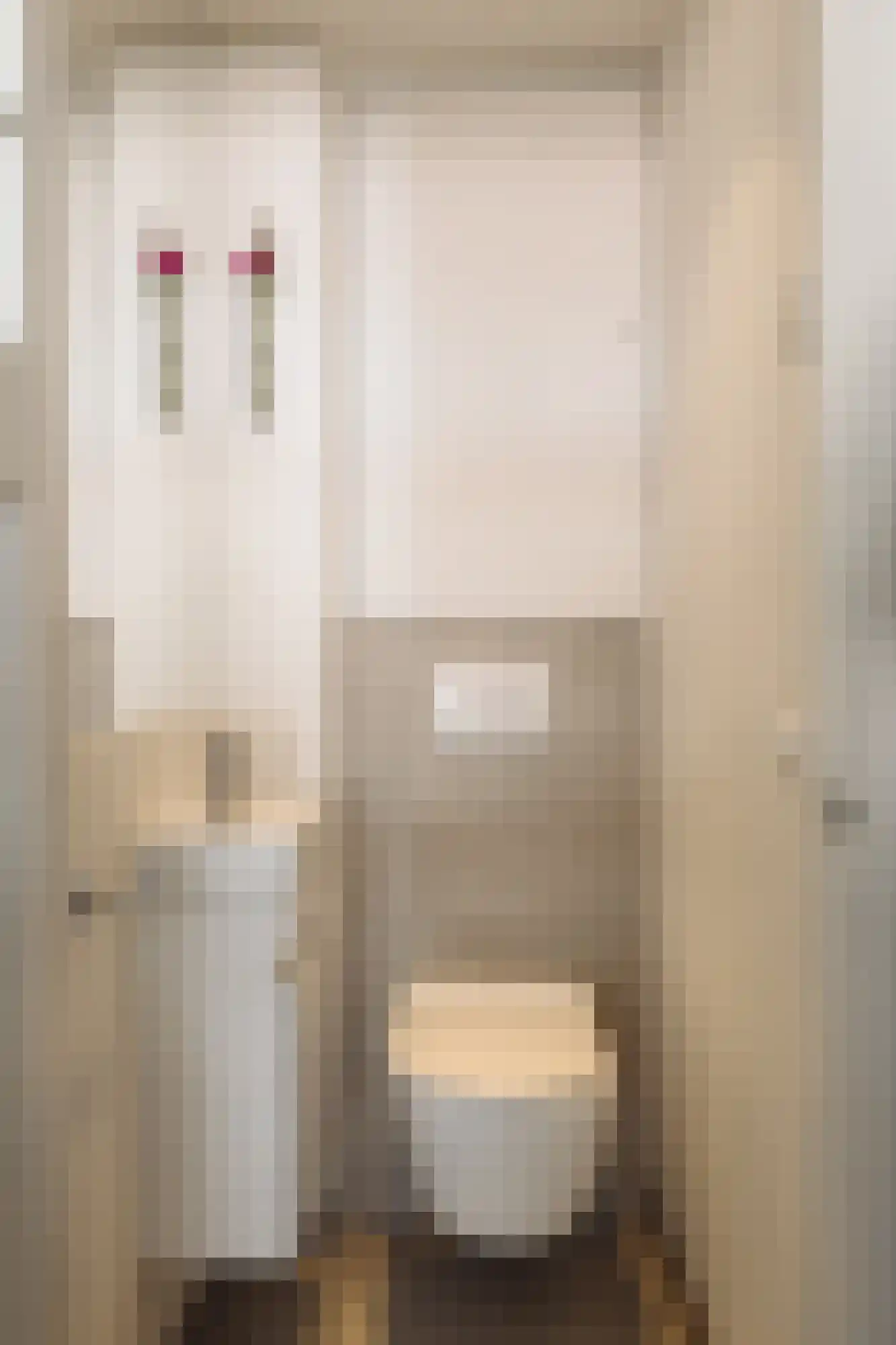 Deurloostraat 51 2 Amsterdam thumbnail 23