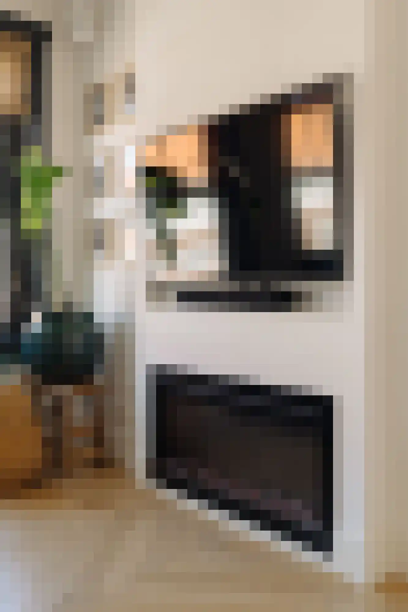 Deurloostraat 51 2 Amsterdam thumbnail 6