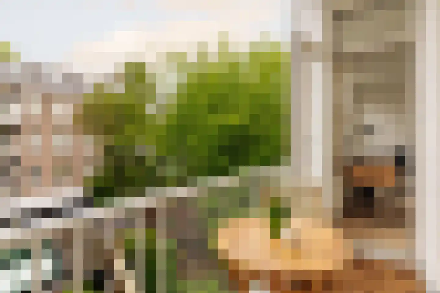 Deurloostraat 52 1 Amsterdam thumbnail 17
