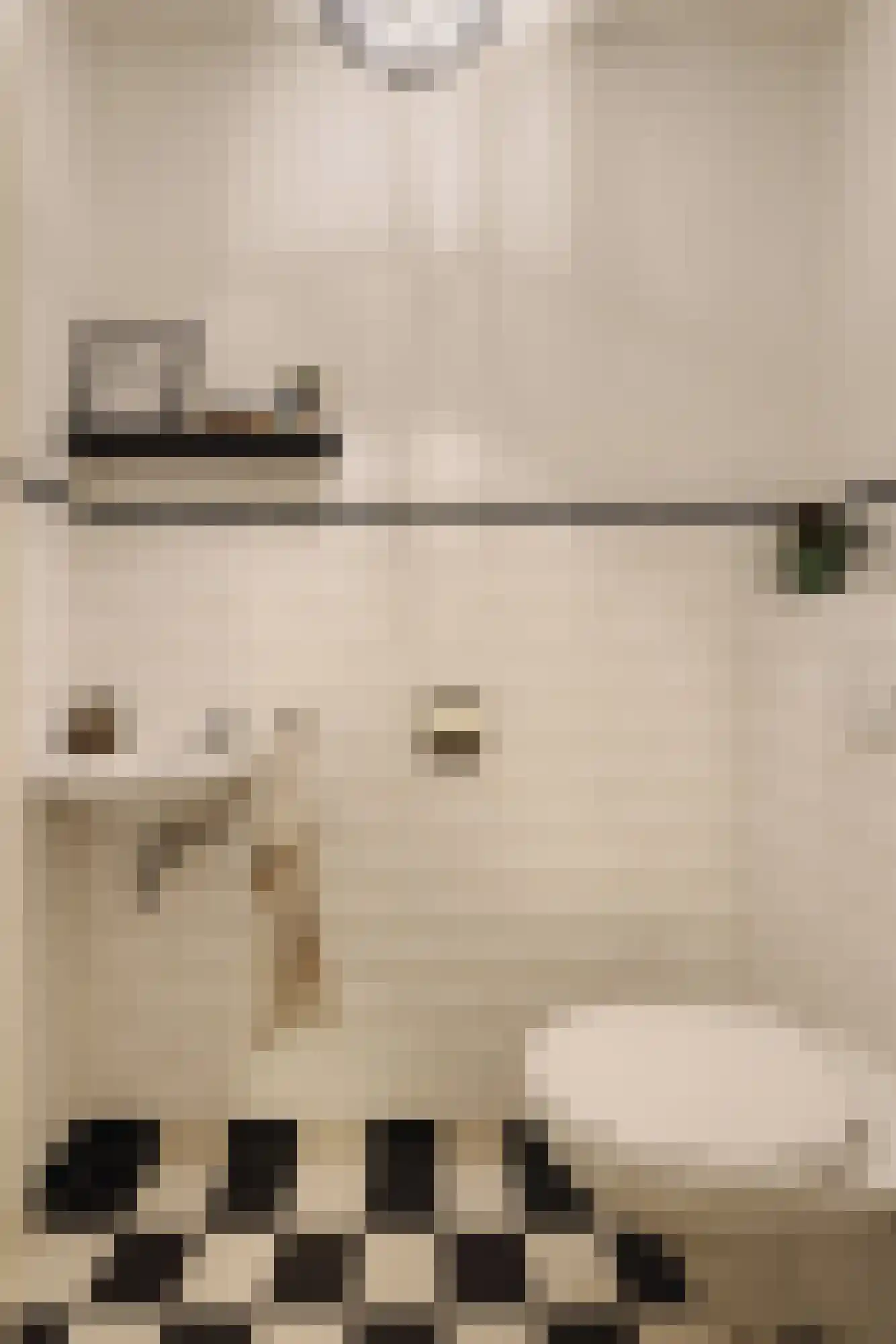 Deurloostraat 52 1 Amsterdam thumbnail 25