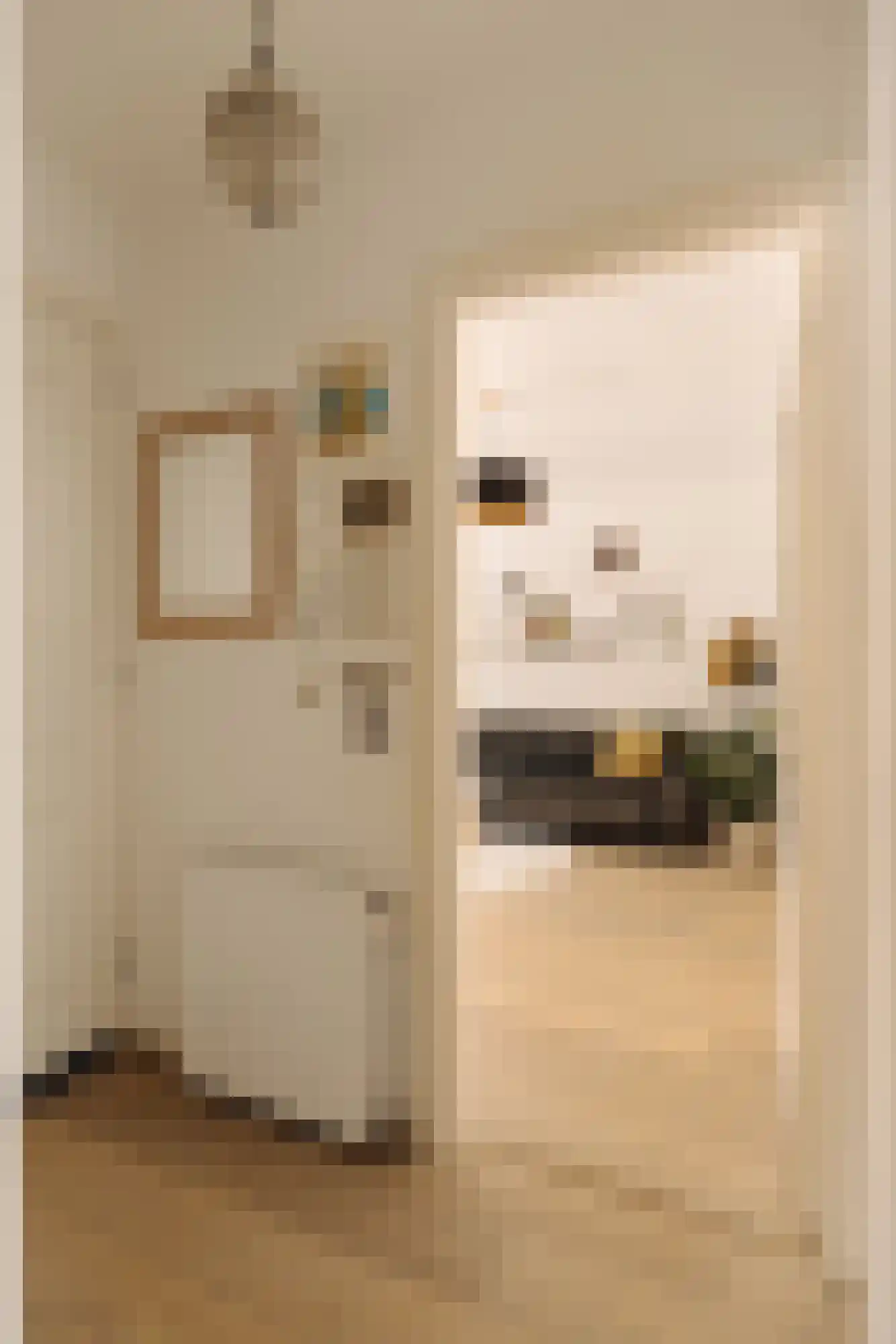Deurloostraat 52 1 Amsterdam thumbnail 26