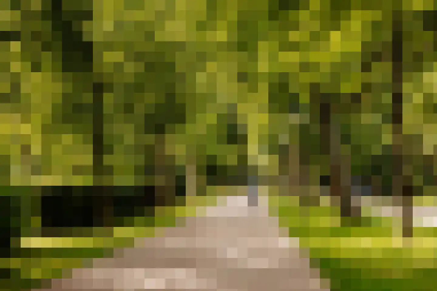 Deurloostraat 52 1 Amsterdam thumbnail 32
