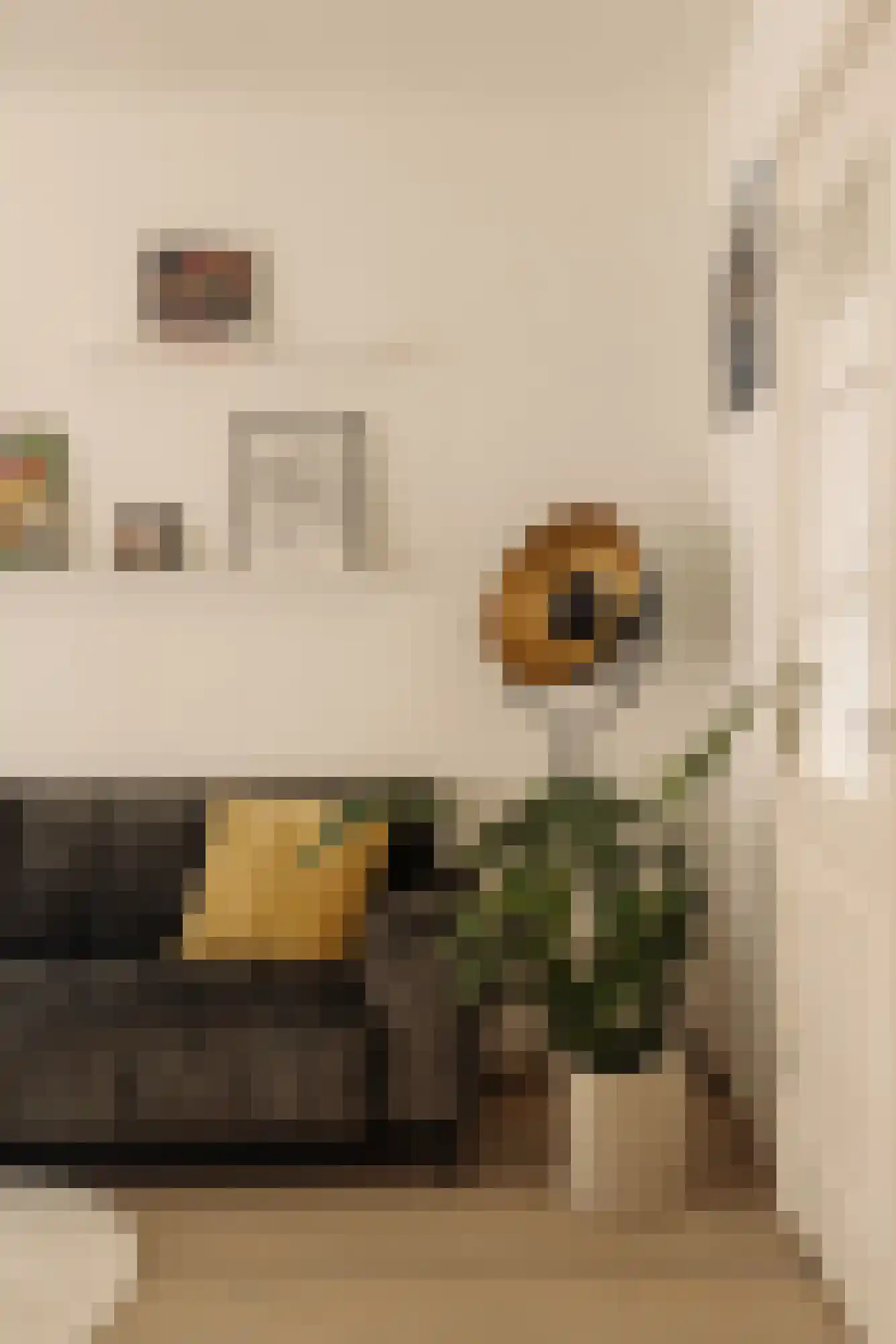 Deurloostraat 52 1 Amsterdam thumbnail 6
