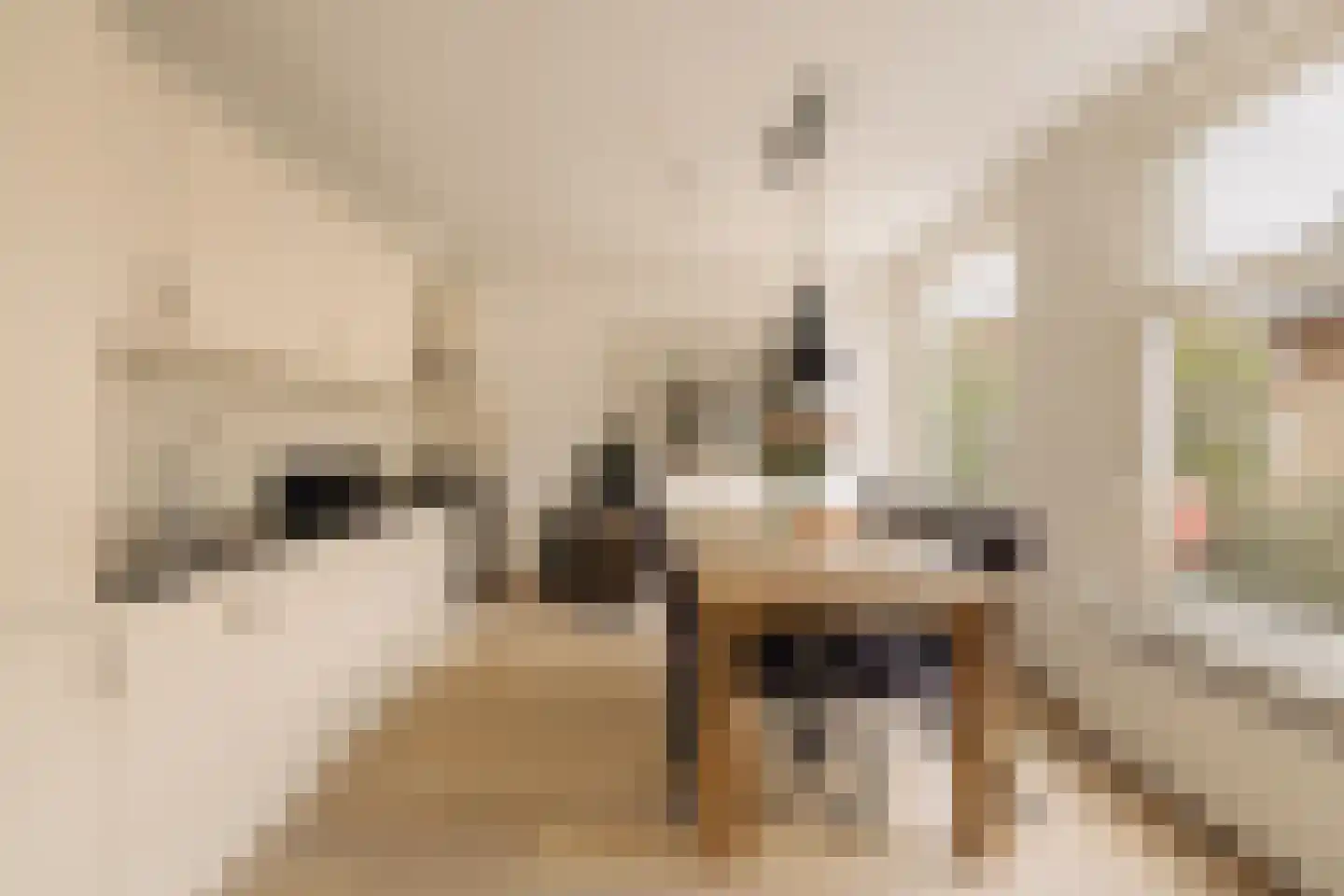 Deurloostraat 52 1 Amsterdam thumbnail 9