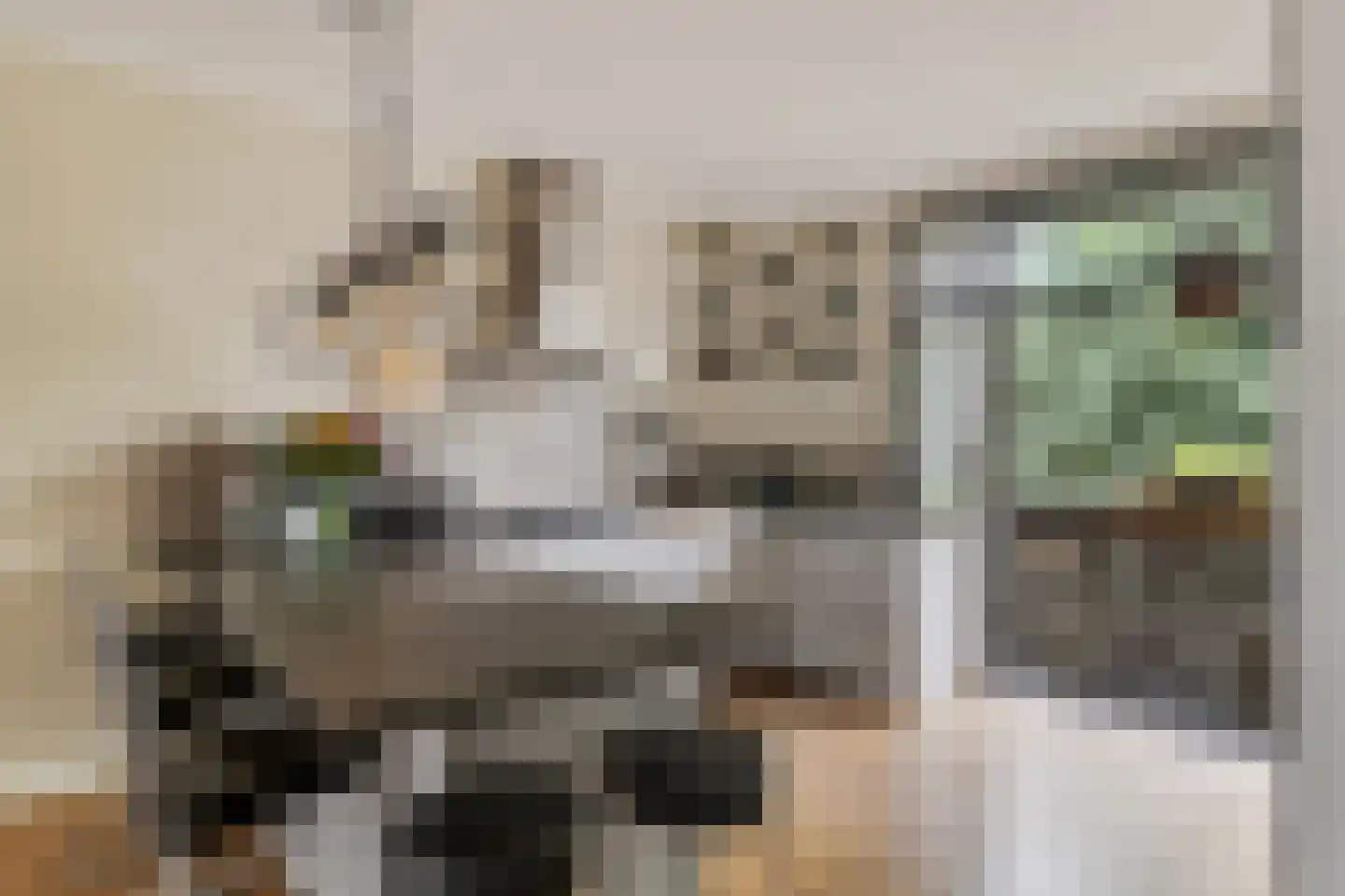Deurloostraat 60 3 Amsterdam thumbnail 12