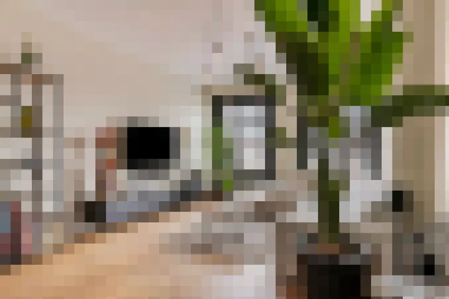 Deurloostraat 60 3 Amsterdam thumbnail 8