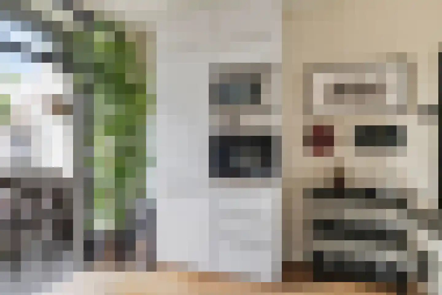 Deurloostraat 60 H Amsterdam thumbnail 11