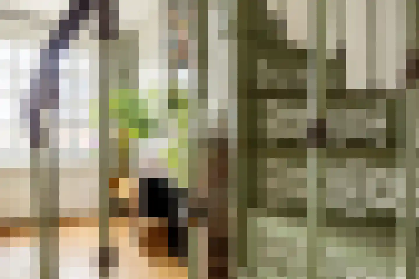 Deurloostraat 66 1 Amsterdam thumbnail 16