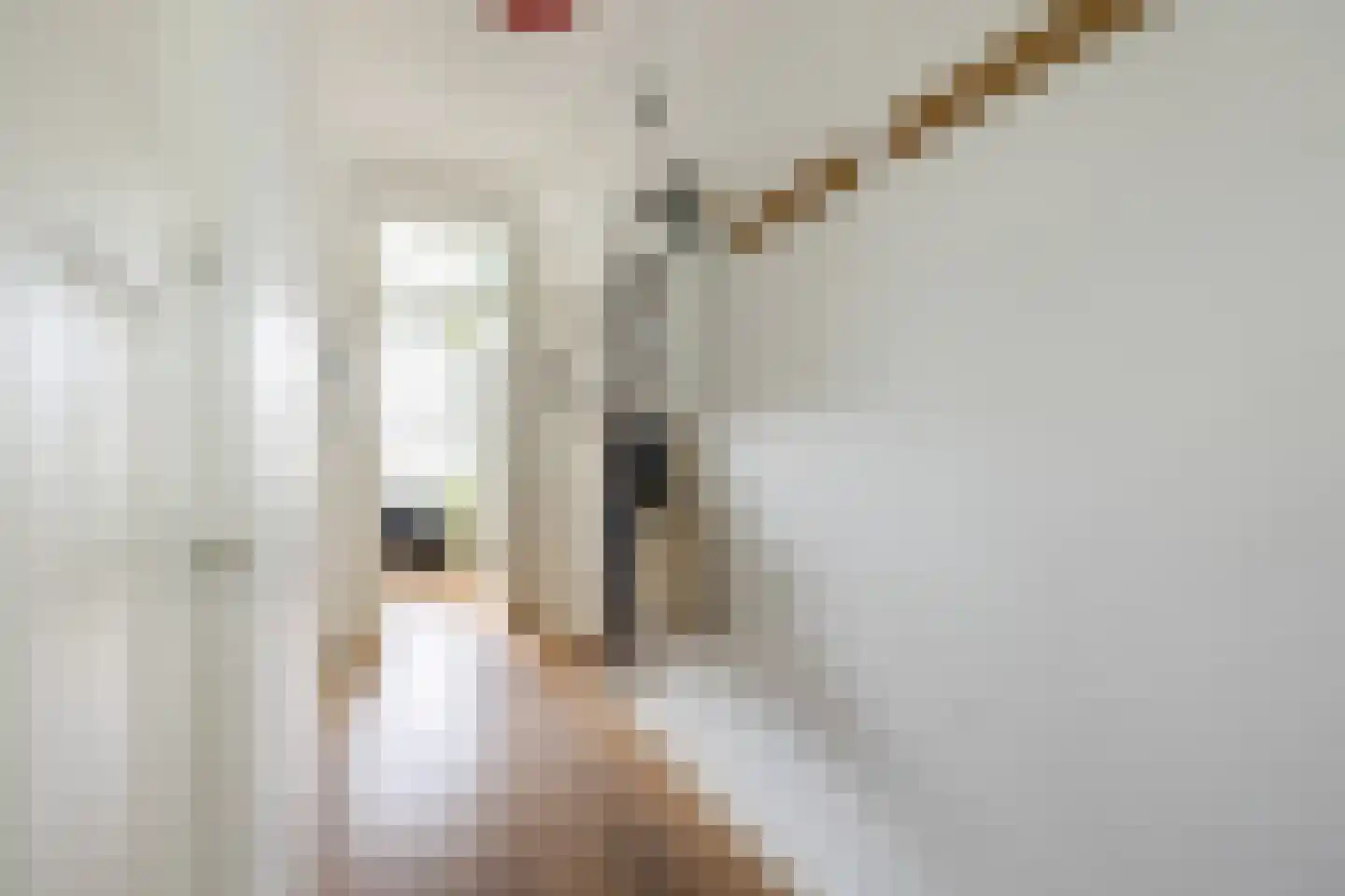 Deurloostraat 66 2 Amsterdam thumbnail 10