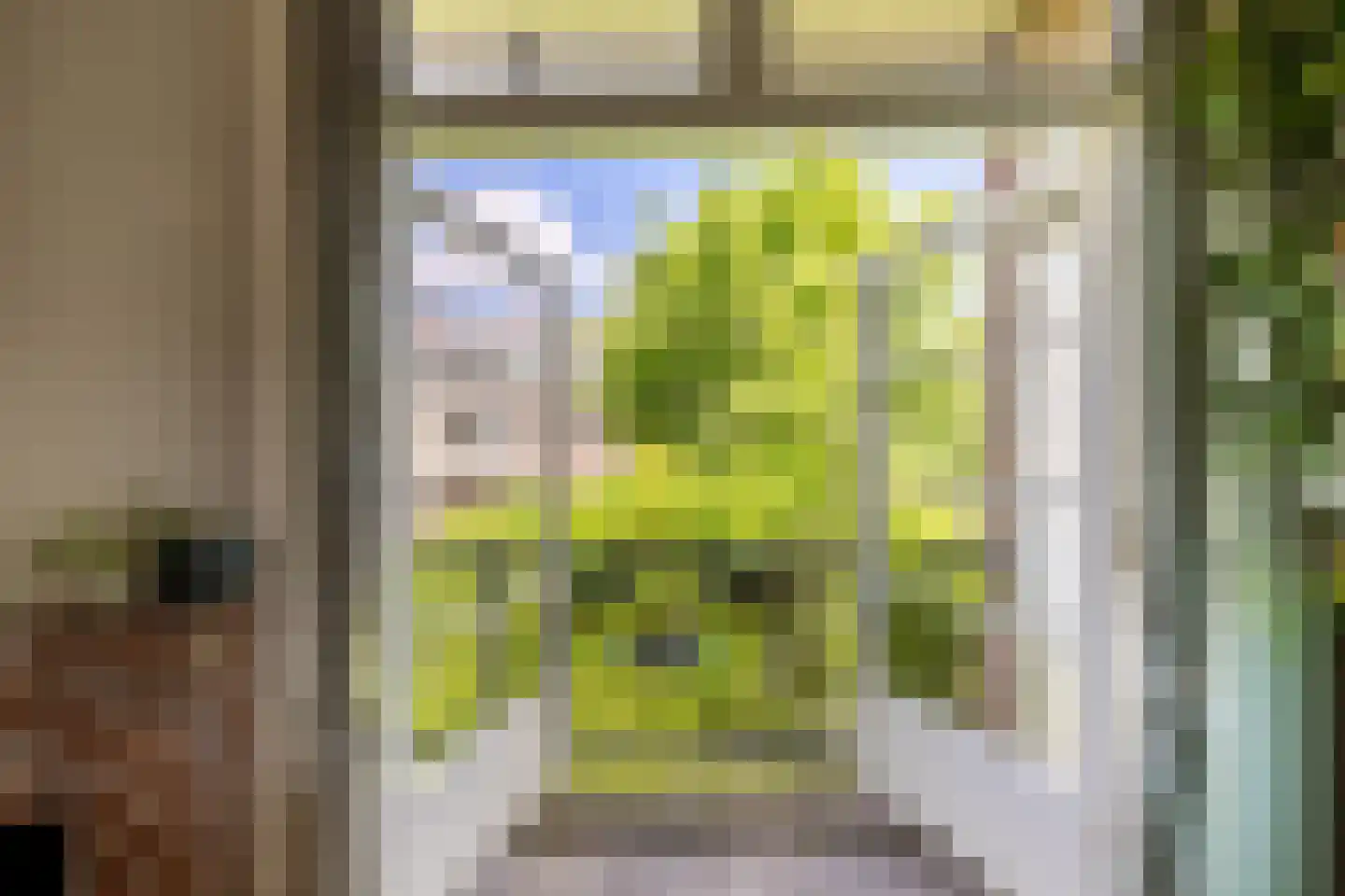 Deurloostraat 66 2 Amsterdam thumbnail 30