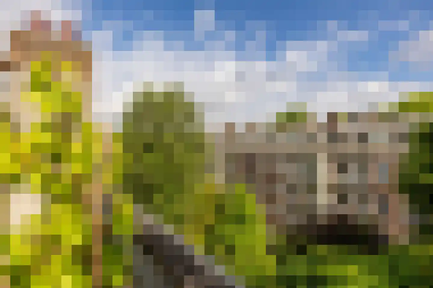 Deurloostraat 66 2 Amsterdam thumbnail 43