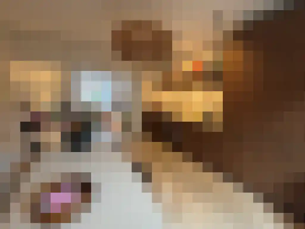 Deurloostraat 66 2 Amsterdam thumbnail 5
