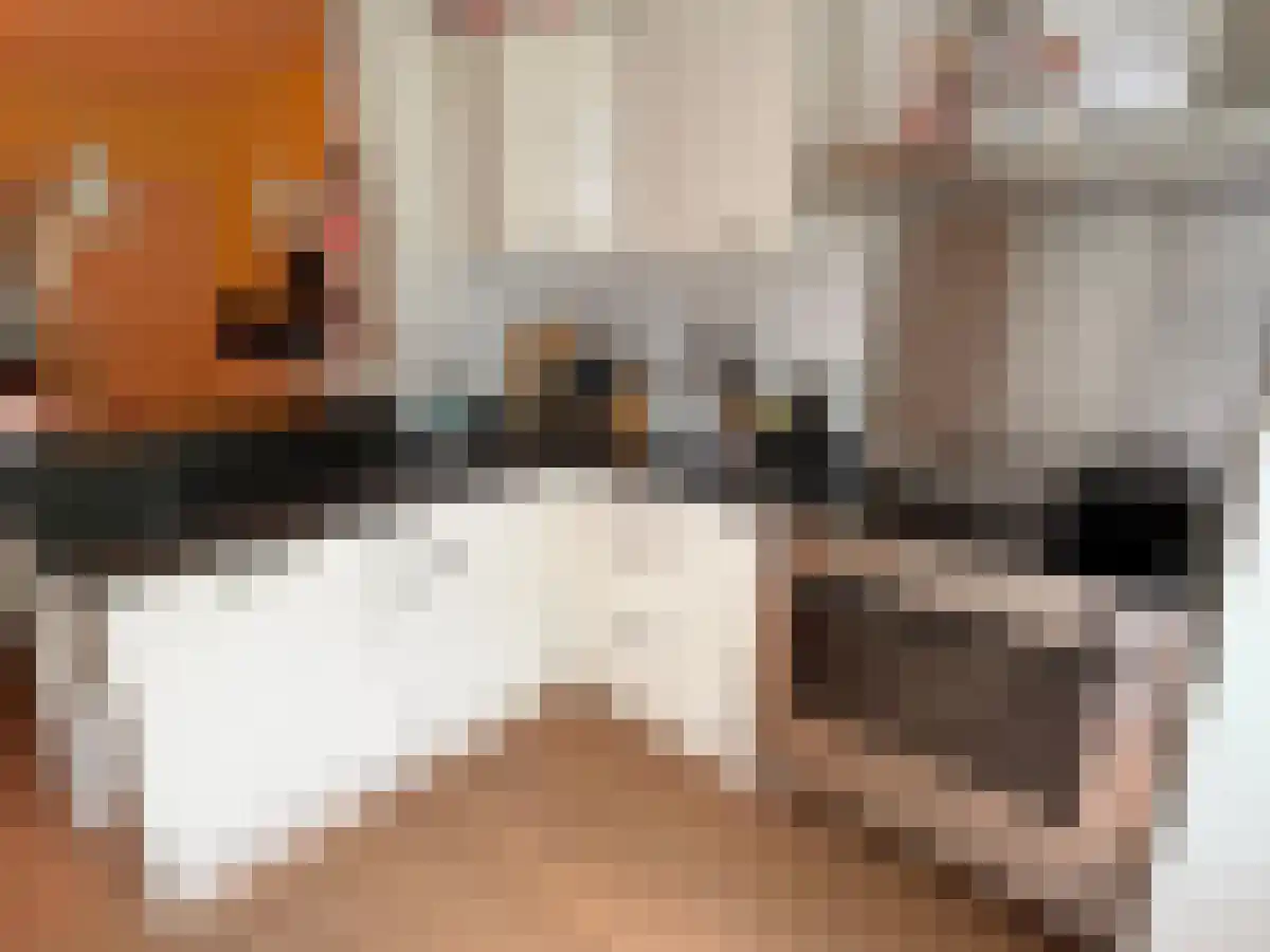 Deurloostraat 74 Amsterdam thumbnail 6