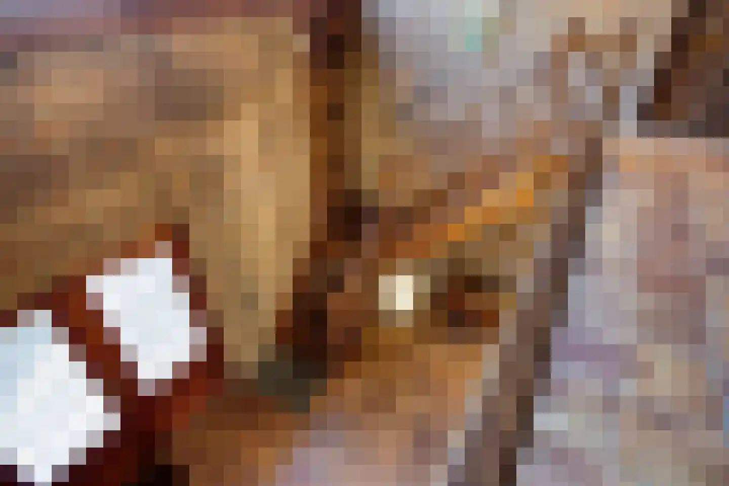 Deurneseweg 45 Heide thumbnail 17